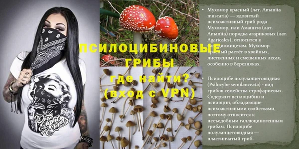 СК Кулебаки