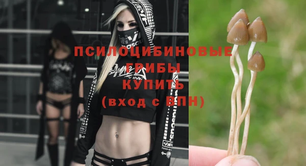 крисы Куйбышев