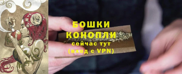 крисы Куйбышев