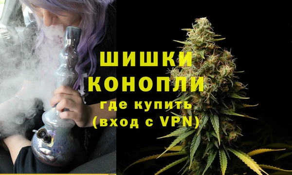крисы Куйбышев